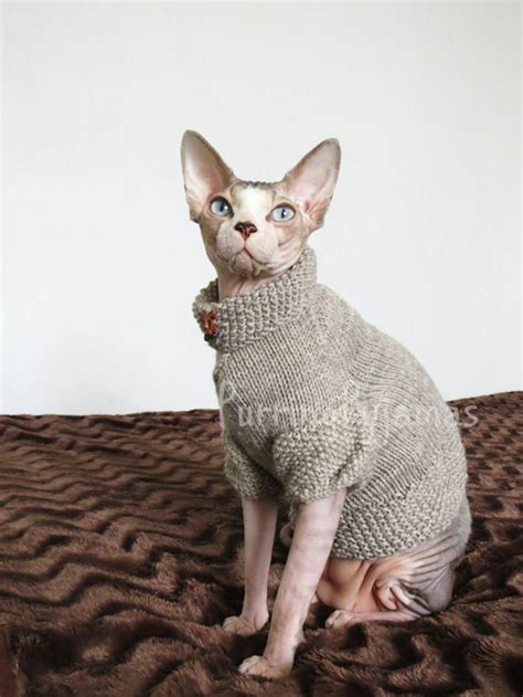 13 Adorable Outfits And Accessories For Your Cat Because Youre 100