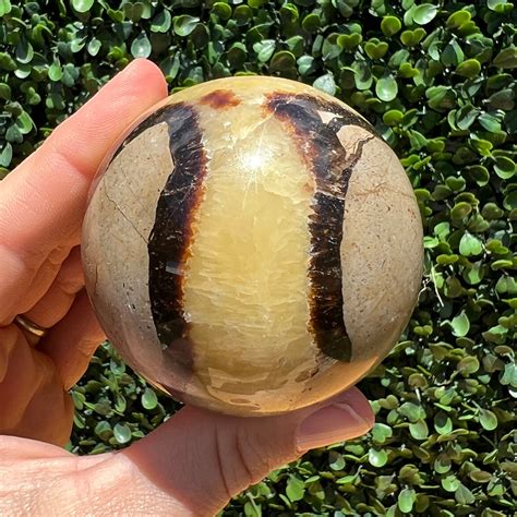 Septarian Yellow Calcite Sphere The Crystal Society Pty Ltd