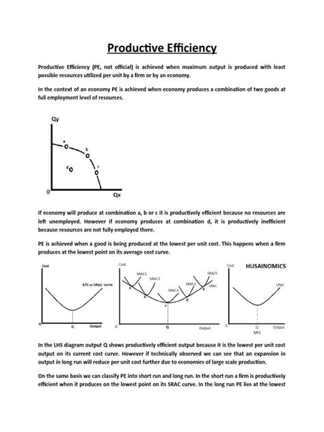 12.productive Efficiency | PDF