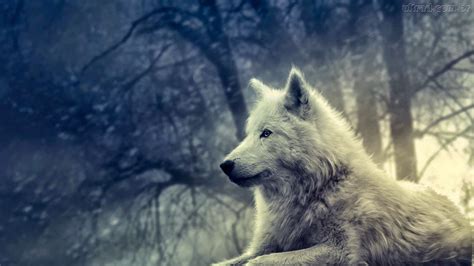 Simon Von Fordback El Lobo Solitario