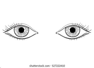 Human Eye Drawing Outline