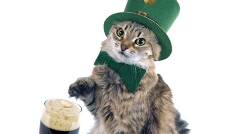 🔥 40 St Patricks Day Cat Wallpapers Wallpapersafari