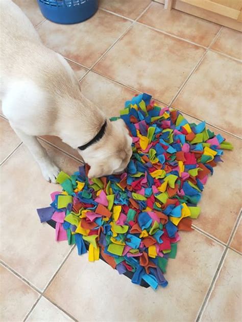 Large Bone Snuffle Mat Treat Mat Dog Snuffle Rug - Etsy