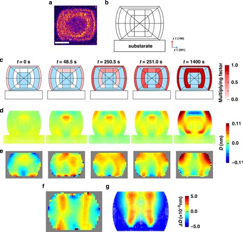 X-ray fluorescence microscopy and FEA results during propene ...