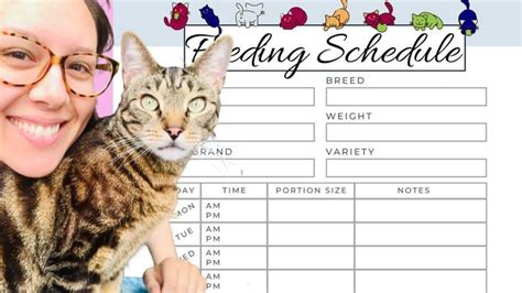 Here's a perfect cat feeding schedule | Cat feeding, Cat feeding ...