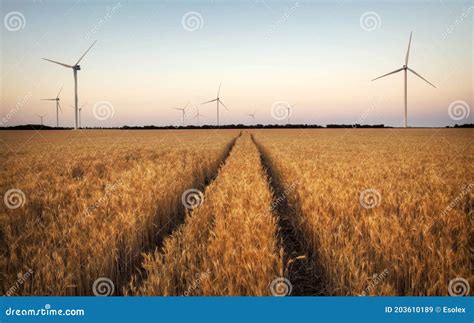 Turbinas E Licas Y Campo Agr Cola En Un D A De Verano Producci N De