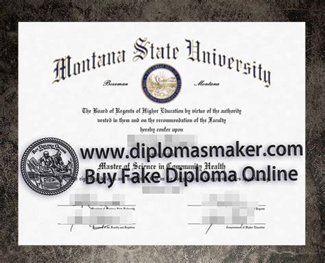 Who Can Provide The Fake Montana State University Degree