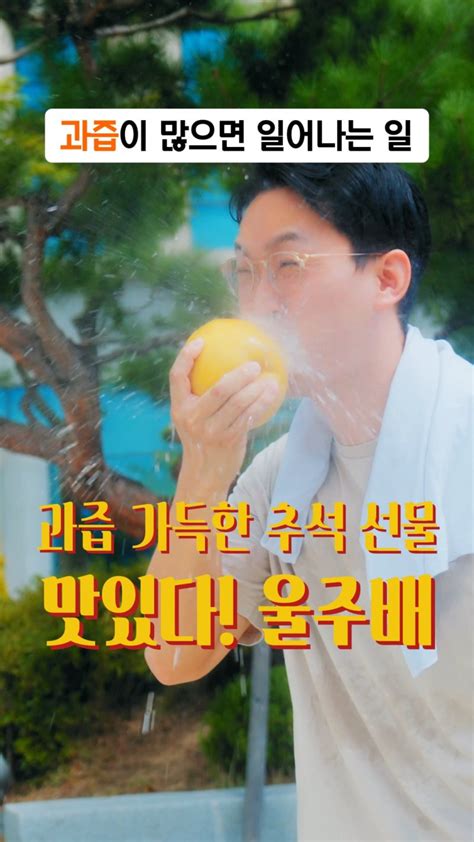 과즙 폭발 영상 화제 울주배 하와이 간다 올해 15t 수출 파이낸셜뉴스