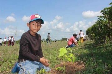 Encabeza Natividad De Los Santos Miranda Campa A De Reforsataci N En