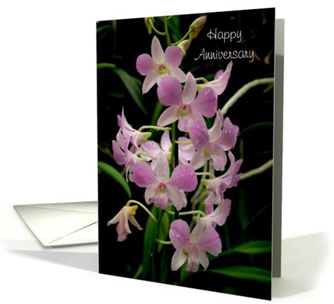 Happy Anniversary card pink orchids with waterdrops card (529851)