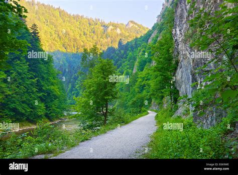 Trekking Trail In The Dunajec River Gorge The Pieniny Mountains