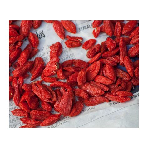 Spices And Herbs Dried Lycium Dried Goji Berries Natural Fructus Lycii