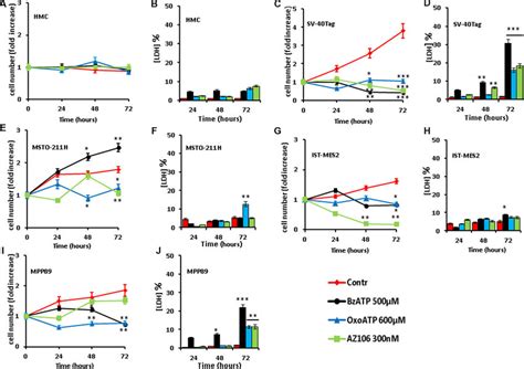 P X Targeting Inhibits In Vitro Mpm Cell Growth Hmcs And Mpm Cells