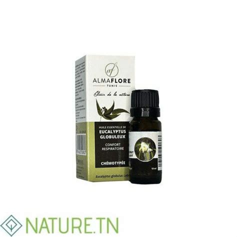 ALMAFLORE HUILE ESSENTIELLE DE EUCALYPTUS GLOBULEUX 10ML Nature Tn