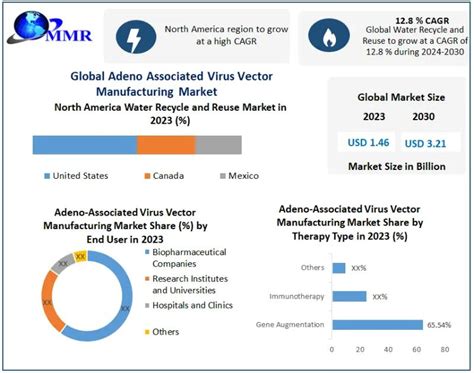 Adeno Associated Virus Vector Manufacturing Market With