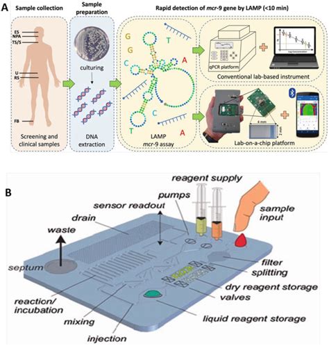 Nanotechnology For Personalized Medicine Springerlink