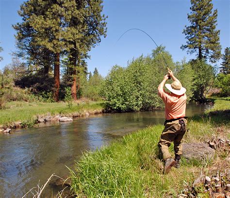 Hat Top Creek Fishing