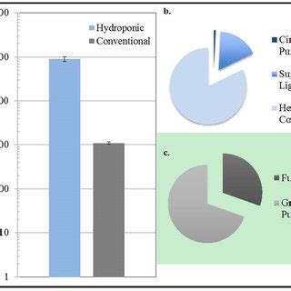 Vegetable Yield Per Square Meter Sam Vegetable