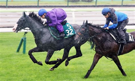 【池添謙一のken To 1】期待馬ショウナンバルドルをデビュー勝ちへ導きたい Umatoku 馬トク