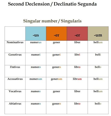 Latin Regular Nouns Conjugation Declension Chart Latin Grammar Classroom Poster Latin Printables