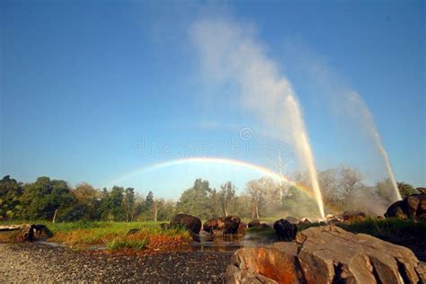 Chiang Dao Hot Springs in Chiang Mai Province, Thailand Stock Image - Image of steam, spring ...