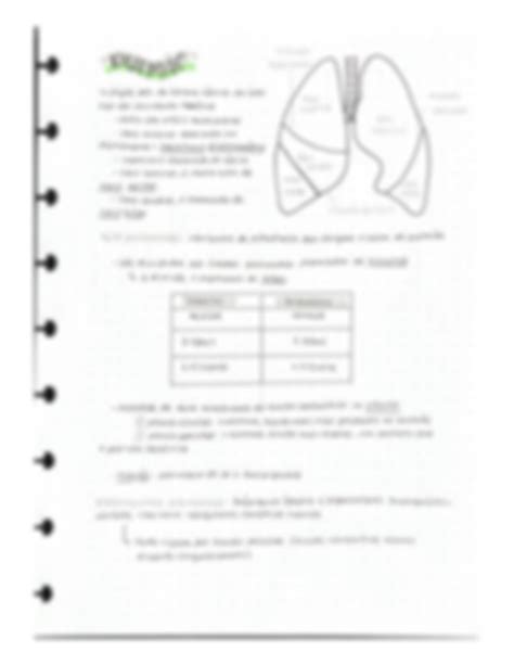 SOLUTION Sistema respiratório Studypool