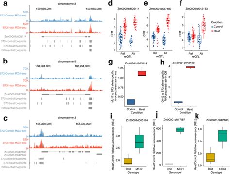 Validations of allele-specific regulatory genomic regions for reGenes ...