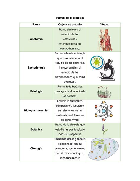 SOLUTION Ramas De La Biolog A Studypool