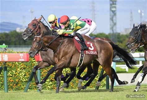 【神戸新聞杯】サトノグランツが馬群の中から突き抜けコースレコードで快勝！ 競馬ニュース 競馬ラボ