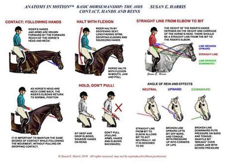 Correct Jumping Position Diagram