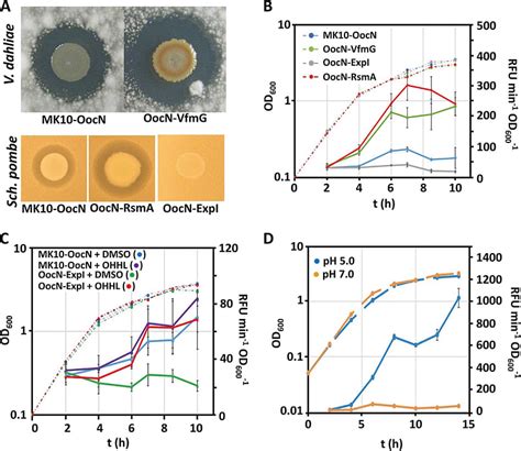 New Antibiotic Solanimycin Discovered In A Pathogenic Bacterium In Potatoes Dickeya Solani