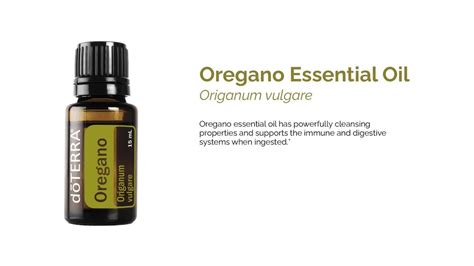 Doterra Oregano Essential Oil Tips Youtube