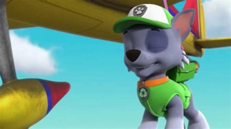 Replay Tfou Du Paw Patrol La Pat Patrouille L