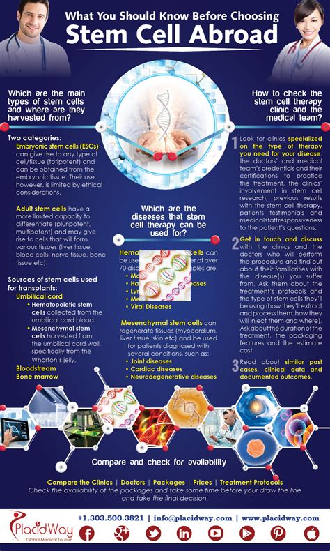 What You Should Know Before Choosing Stem Cell Abroad Placidblog