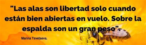 90 Mejores Frases De Alas Para Volar Expande Tu Mente