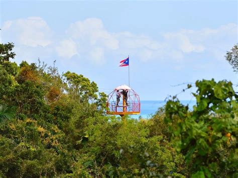 El Yunque National Forest Half-Day Tour | Bespoke Lifestyle Management