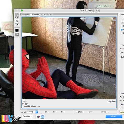 Spider Man Web Design