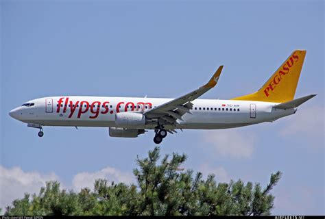 Pegasus Airlines Boeing Ng Max Tc Aip Photo Airfleets