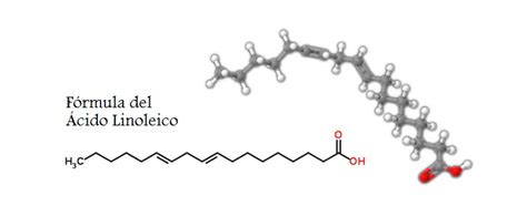 Cido Linol Ico Obtenci N Beneficios Y Propiedades Cail Par S