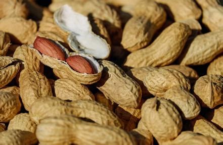 Qué sabemos acerca de los cereales y oleaginosas