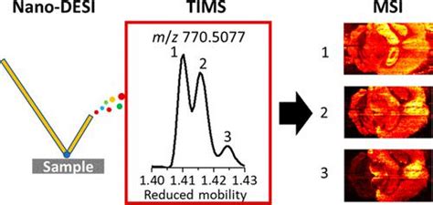 Nanospray Desorption Electrospray Ionization Nano Desi Mass