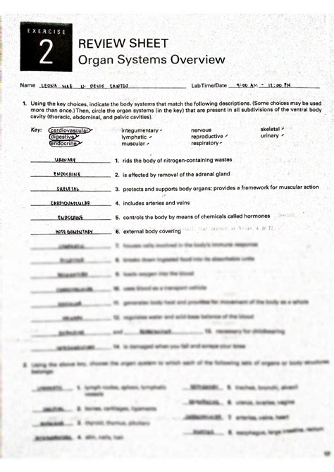 Organ System Overview Worksheet Printable Pdf Template