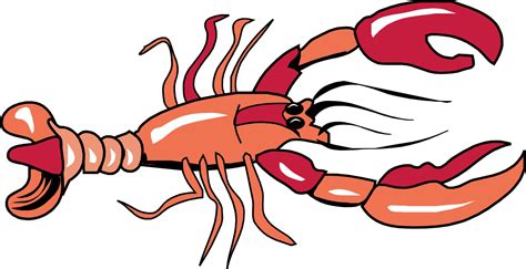 Lobster outline clipart 3 - WikiClipArt