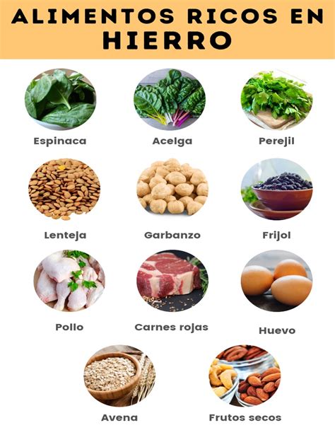 Alimentos Ricos En Hierro Pdf