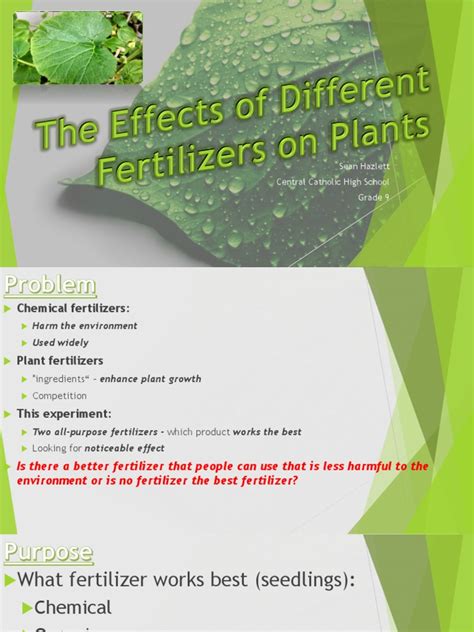 The Effects of Different Fertilizers On Plants | PDF | Cucurbita ...