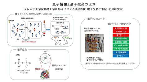 量子情報と量子生命の世界