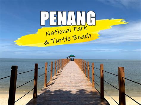 Penang National Park: A Hike to Turtle Beach | HerTravelogue