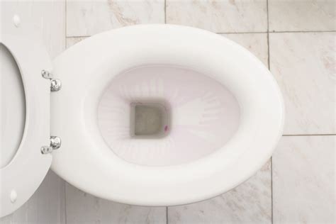 How To Use Vinegar And Baking Soda To Clean A Toilet Hunker