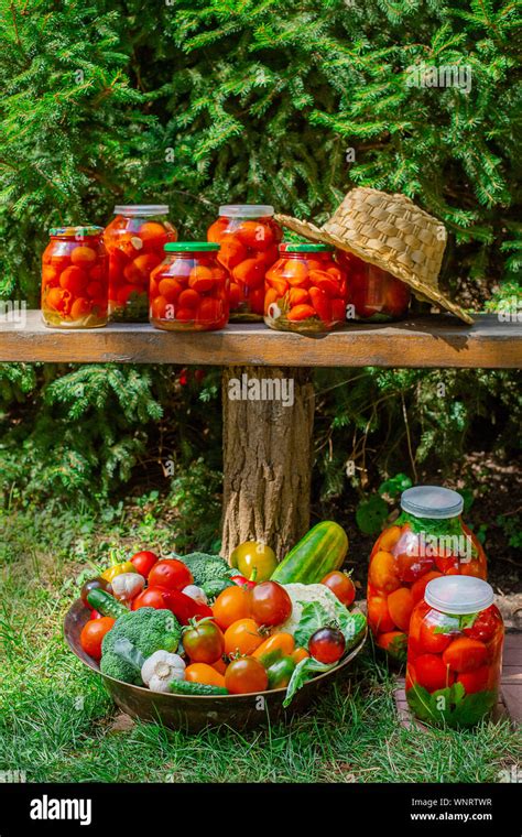 Production Of Canned Tomatoes In The Jar Processing Your Own Vegetable