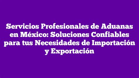 ᐈ Servicios Profesionales de Aduanas en México Soluciones Confiables